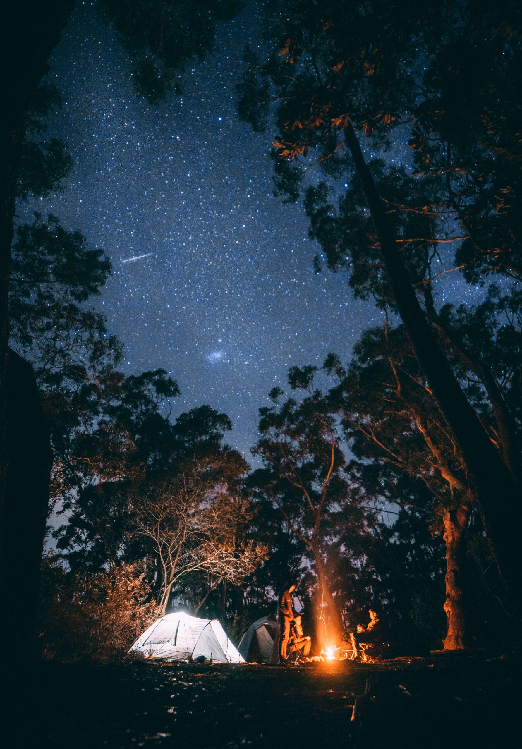 Saskatoon Camping: Embracing Nature’s Splendor
