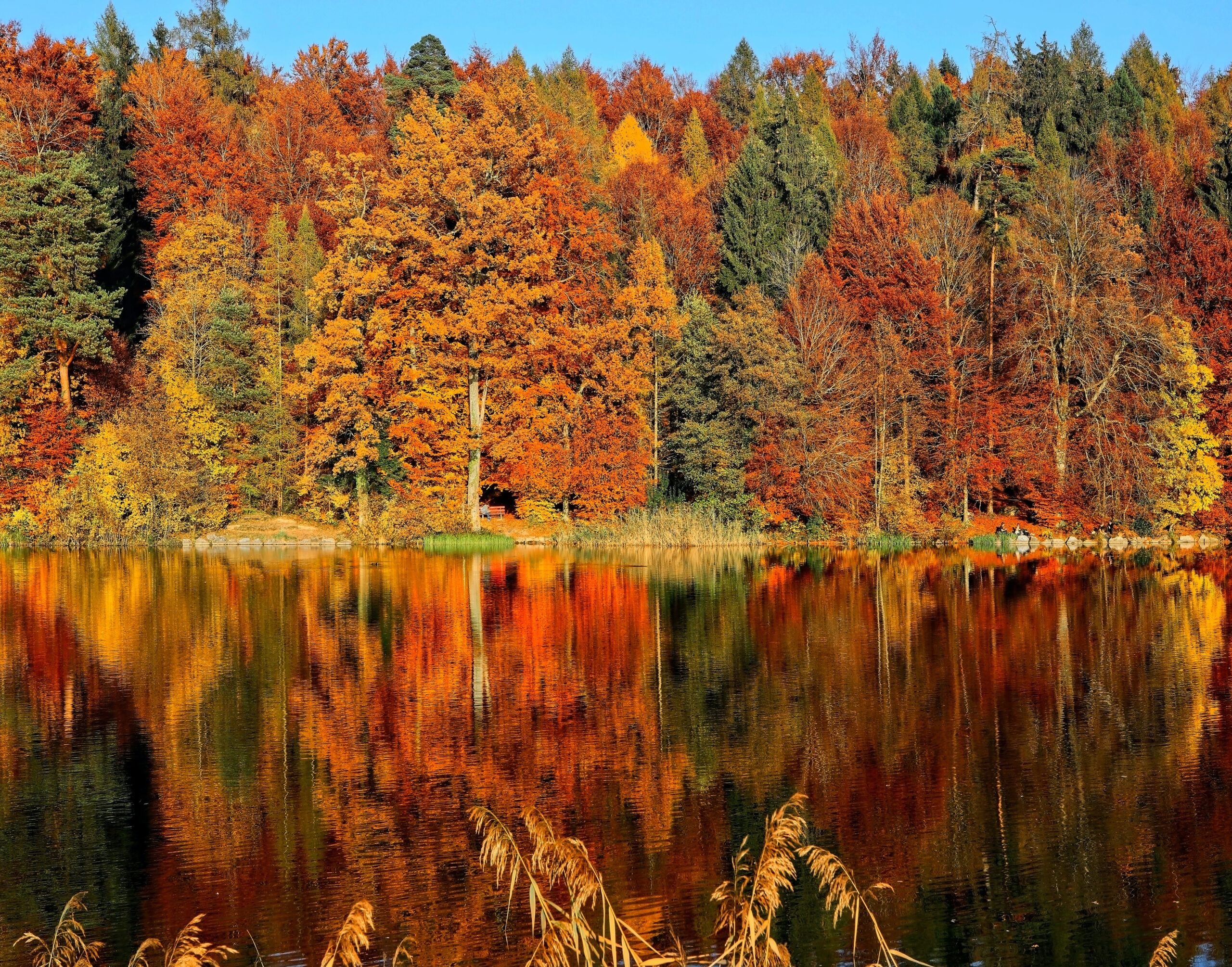 Embracing the Colors of Fall: A Journey through Saskatoon, Canada