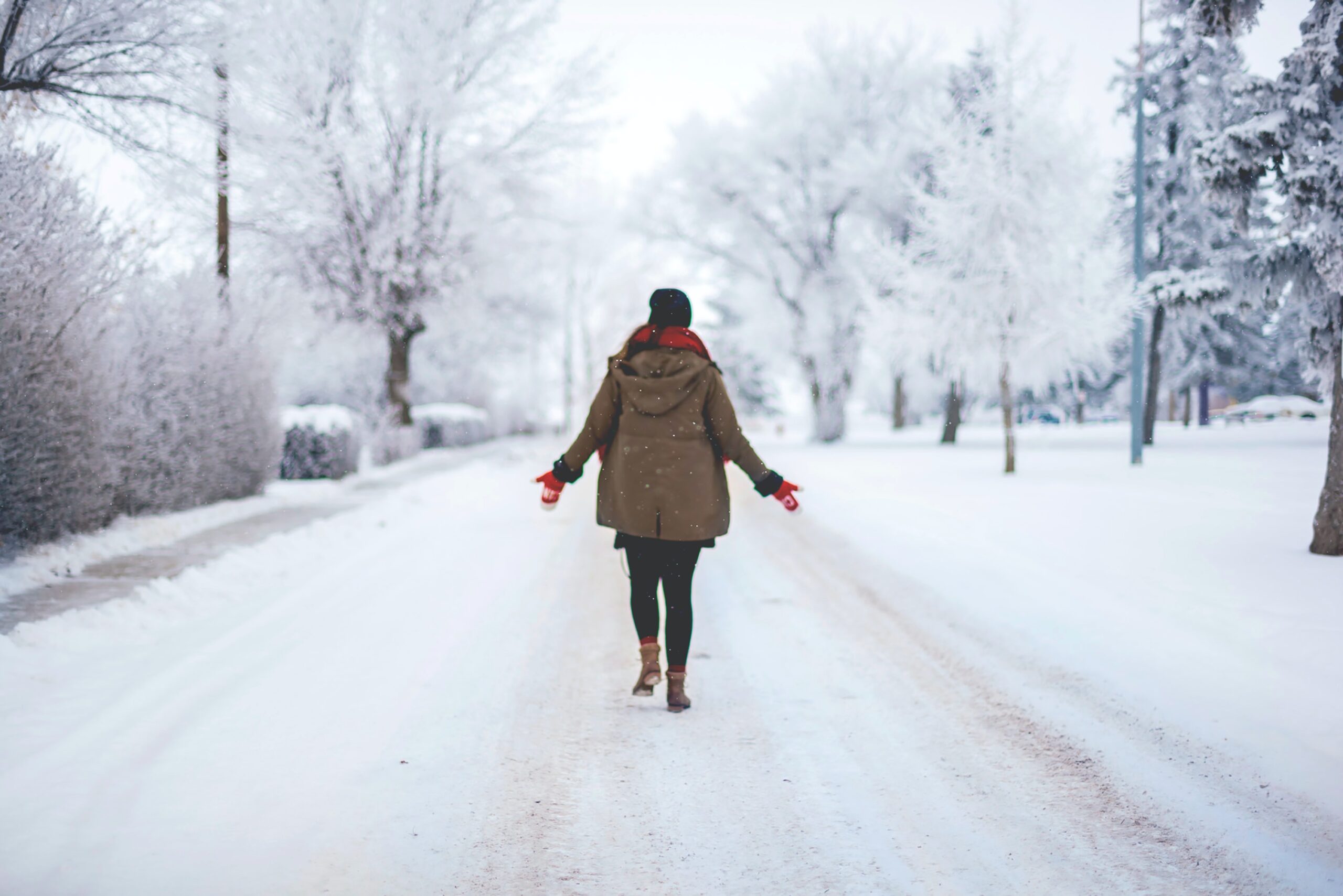 Three Wintertime Itineraries for Wanuskewin Visits
